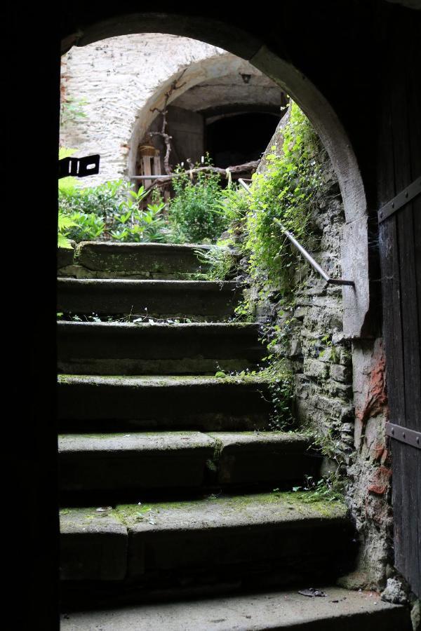 Alte Schmiede Zu Trarbach Appartement Verbandsgemeinde Verbandsgemeinde Traben-Trarbach Buitenkant foto